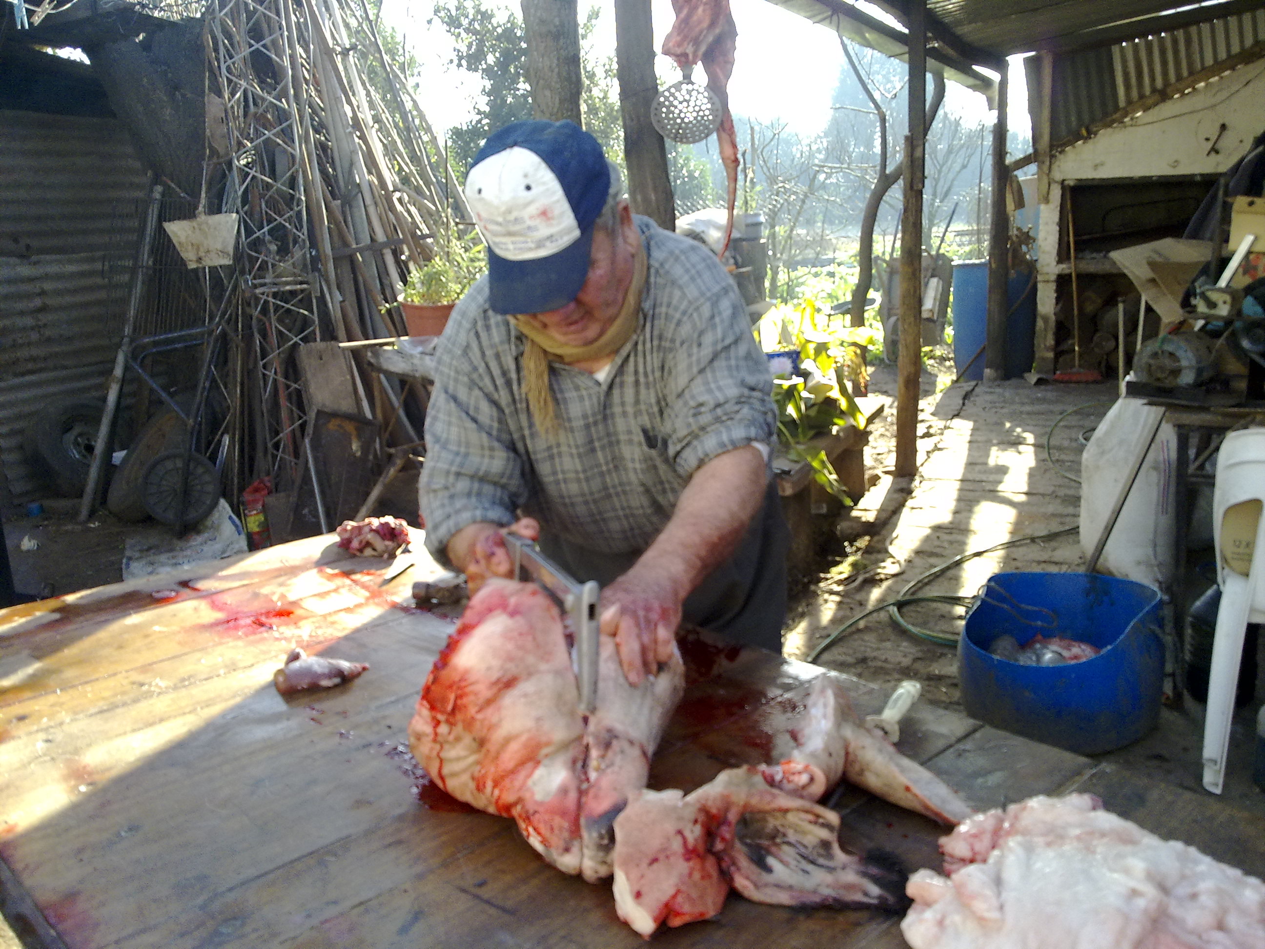 fotos/2010-07-18 - Carneada con nevada/17072010493.jpg